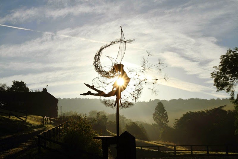 Dancing with Dandelions