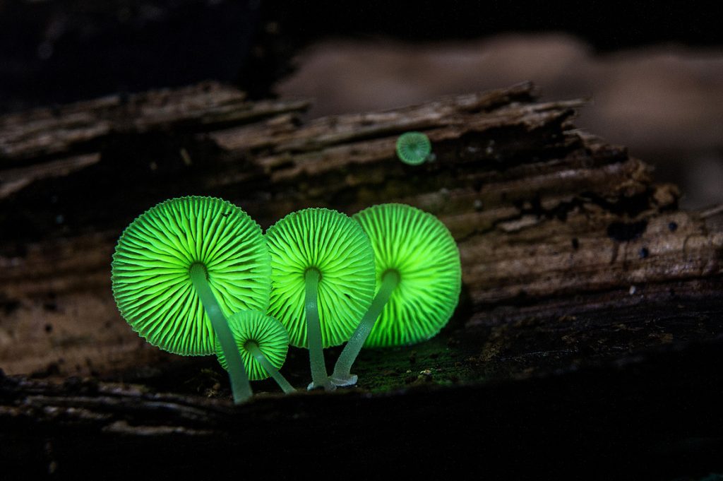 15 Unique Places Transformed Into Something Amazing At Night