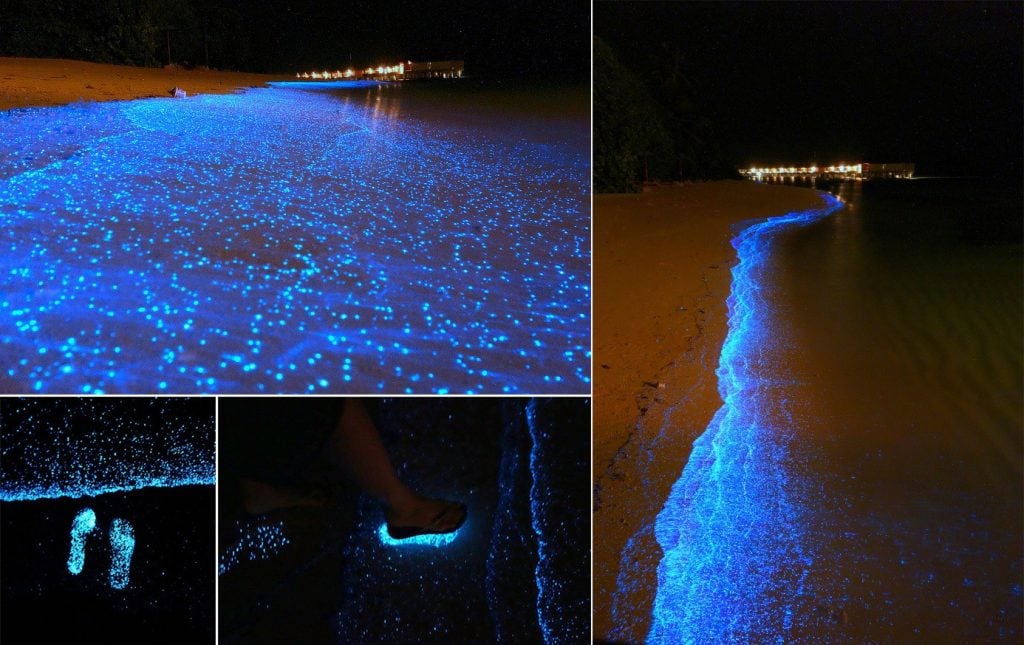15 Unique Places Transformed Into Something Amazing At Night