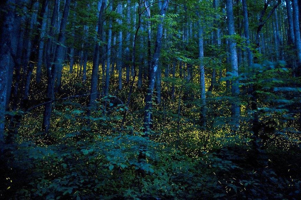 15 Unique Places Transformed Into Something Amazing At Night
