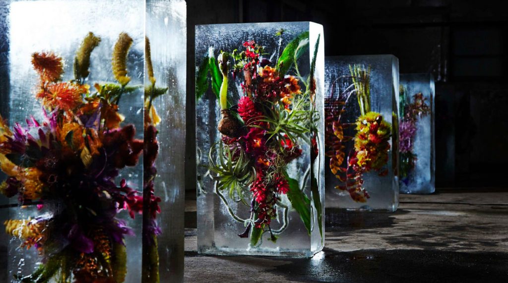 6 Impressive Projects That Turn Botany Into Art