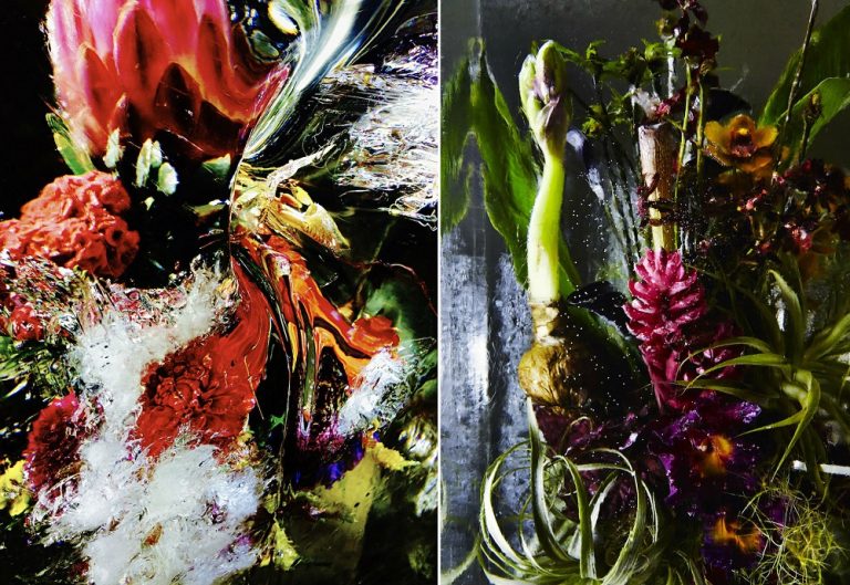 6 Impressive Projects That Turn Botany Into Art