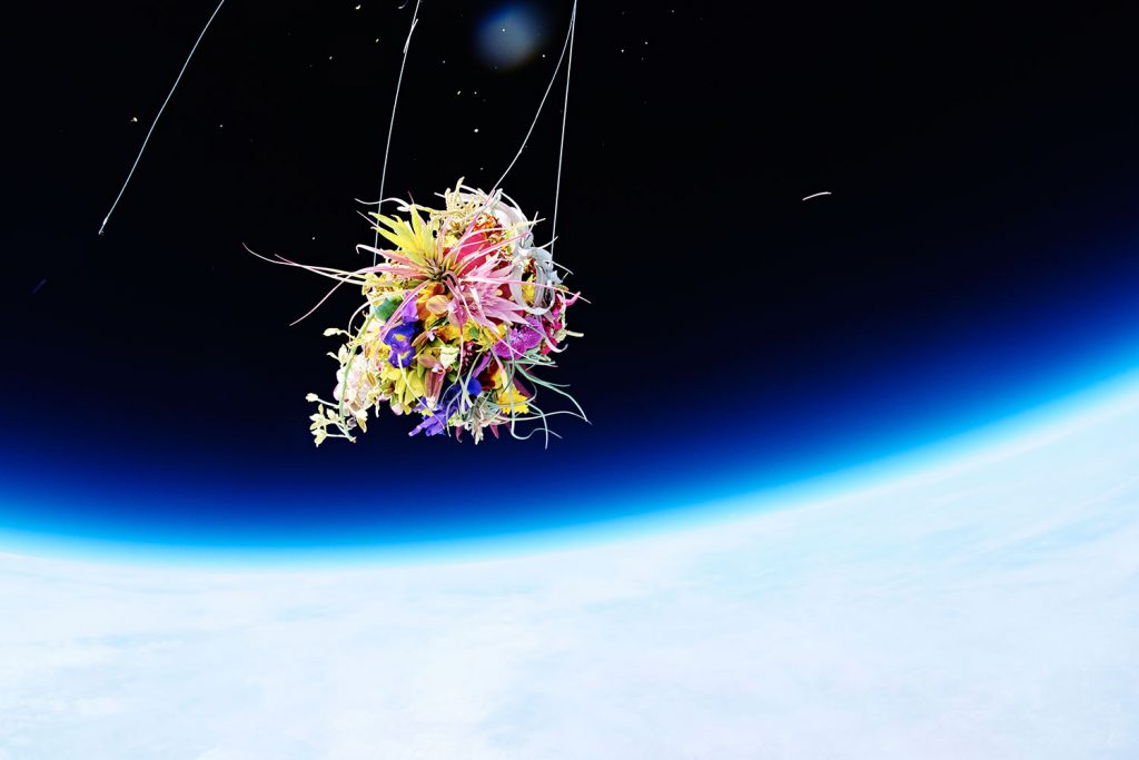 6 Impressive Projects That Turn Botany Into Art