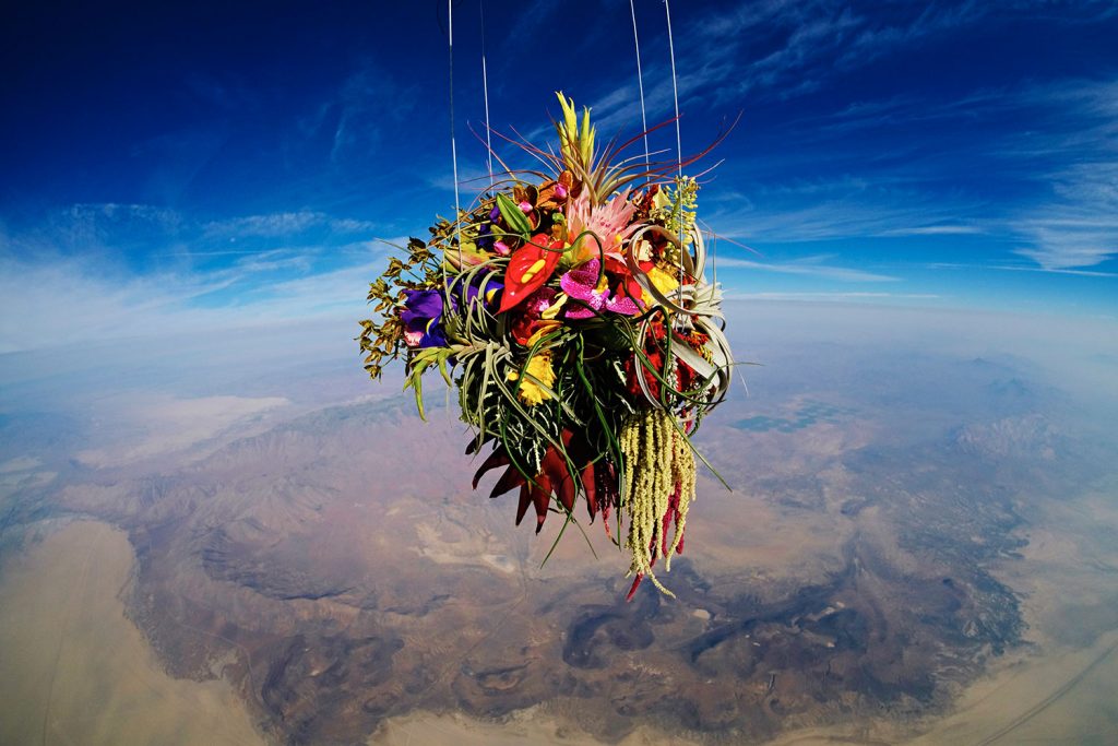 6 Impressive Projects That Turn Botany Into Art