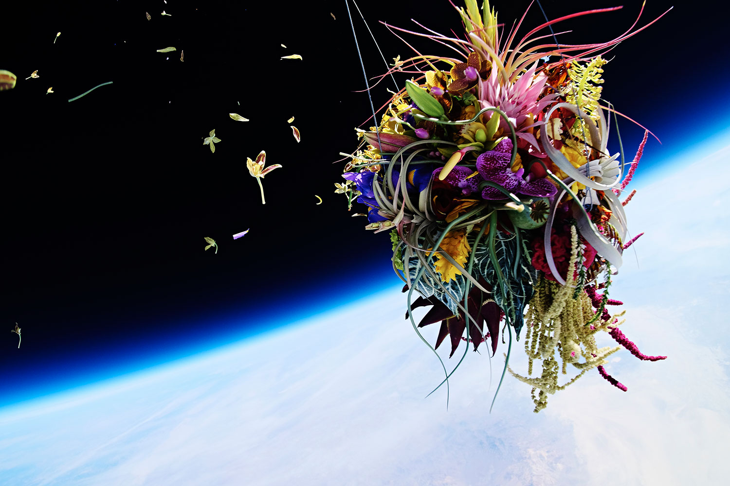 6 Impressive Projects That Turn Botany Into Art 2