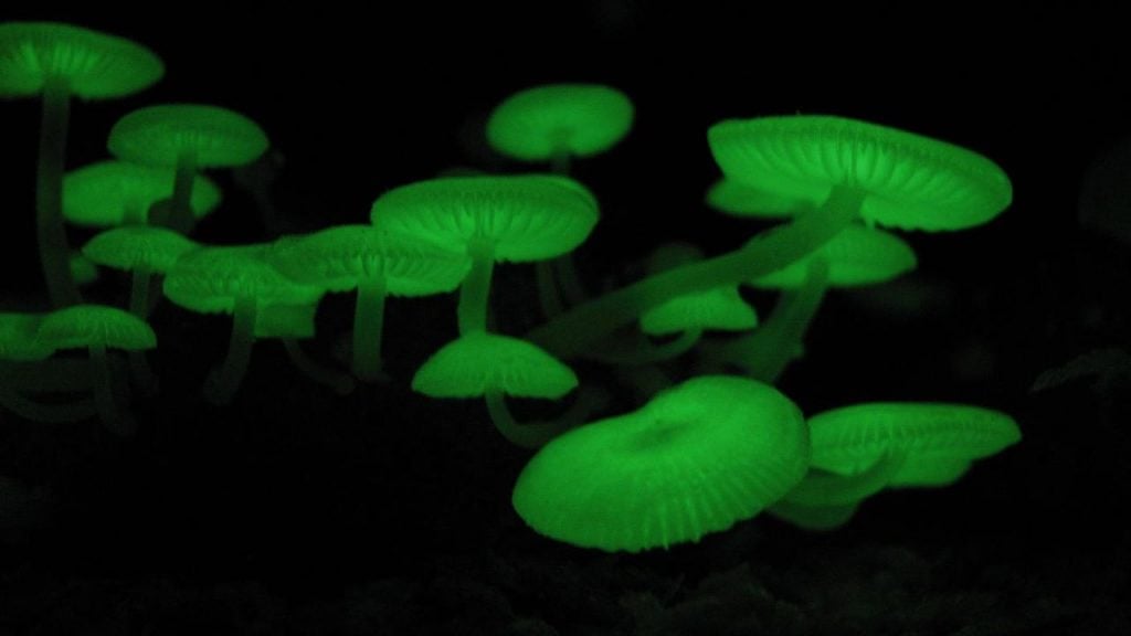 15 Unique Places Transformed Into Something Amazing At Night