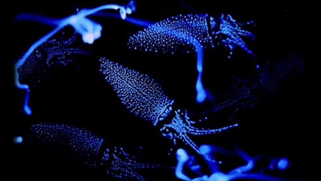15 Unique Places Transformed Into Something Amazing At Night