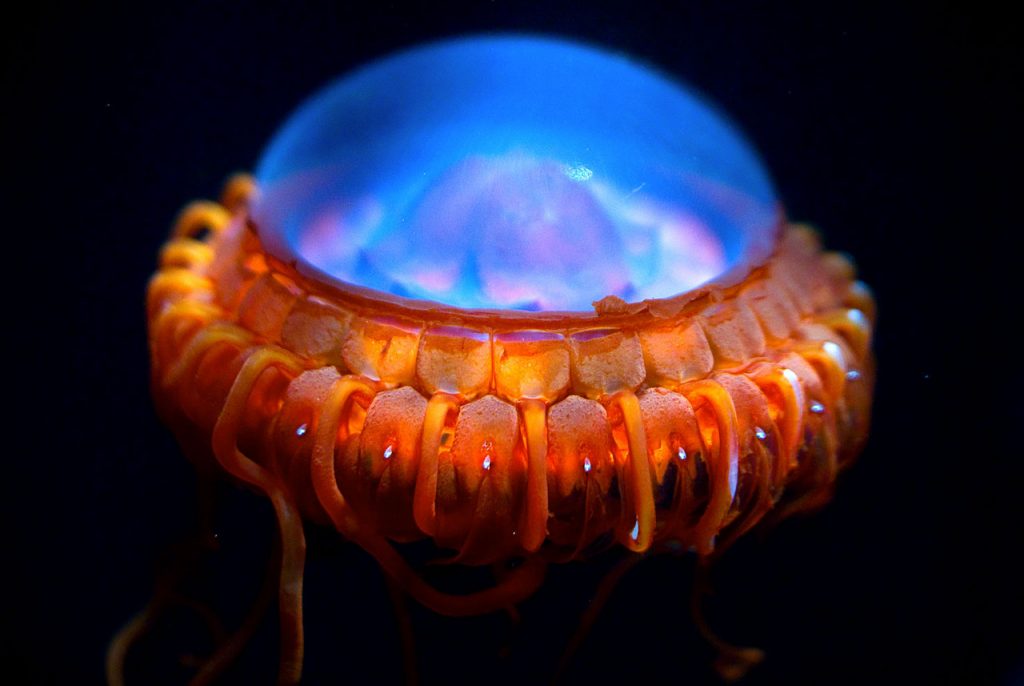 15 Unique Places Transformed Into Something Amazing At Night