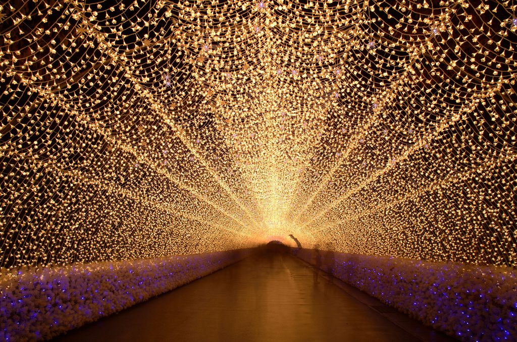 Japan’s Glimmering Tunnel of Lights — Spectacular Winter Illuminations