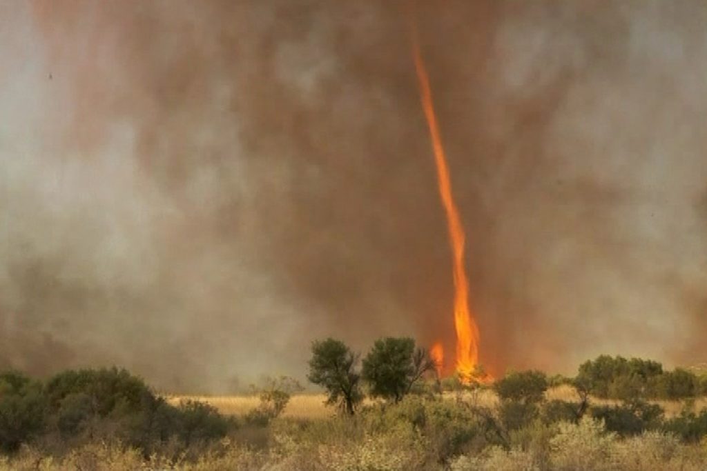 Only In Australia! – These 19 Things Prove Australia Is the Craziest