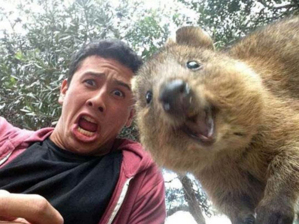 Only In Australia! – These 19 Things Prove Australia Is the Craziest