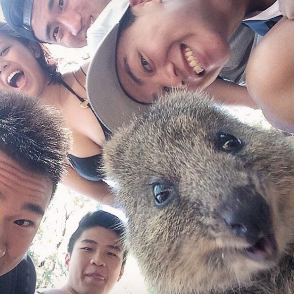 Only In Australia! – These 19 Things Prove Australia Is the Craziest
