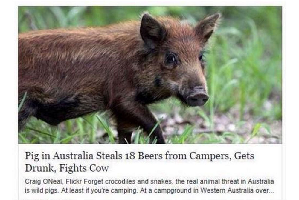 Only In Australia 18