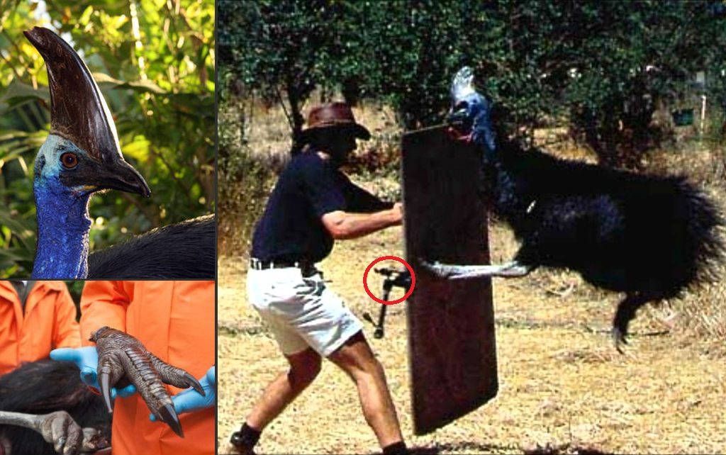 Only In Australia! – These 19 Things Prove Australia Is the Craziest