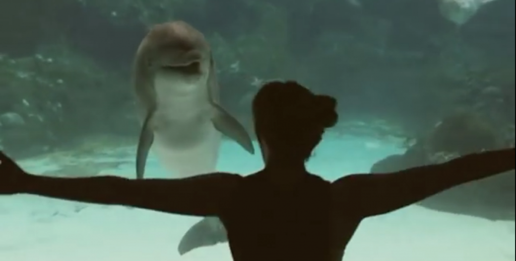 Girl Makes Dolphin Laugh