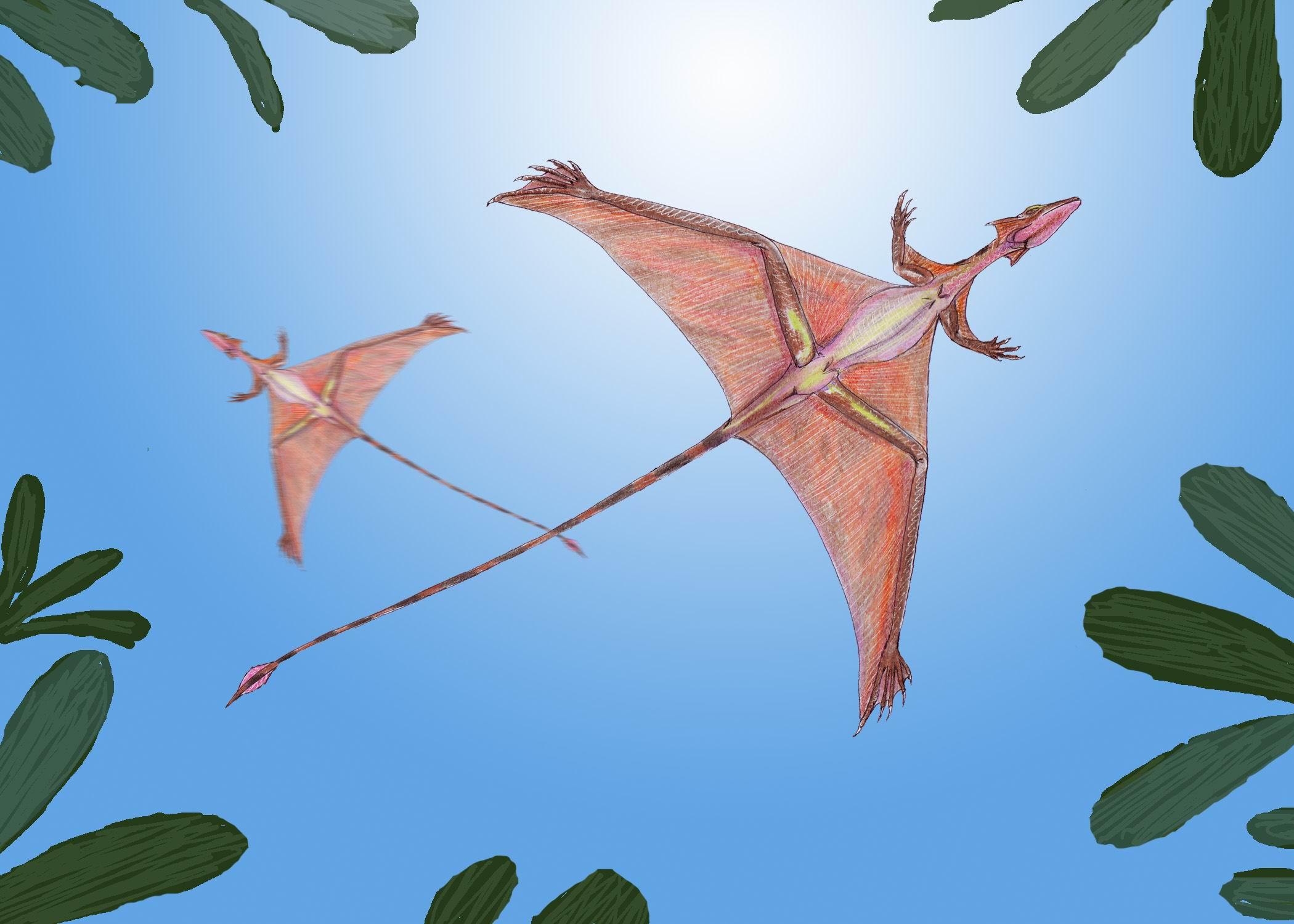 2) Sharovipteryx