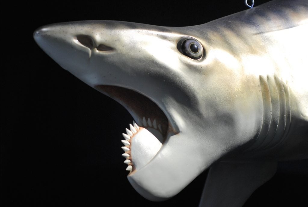 12 Obscure Dinosaurs You’ve Never Heard Of