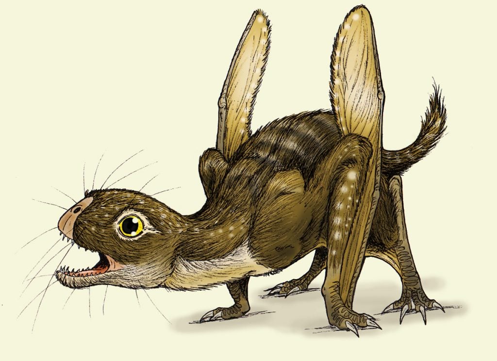 12 Obscure Dinosaurs You’ve Never Heard Of