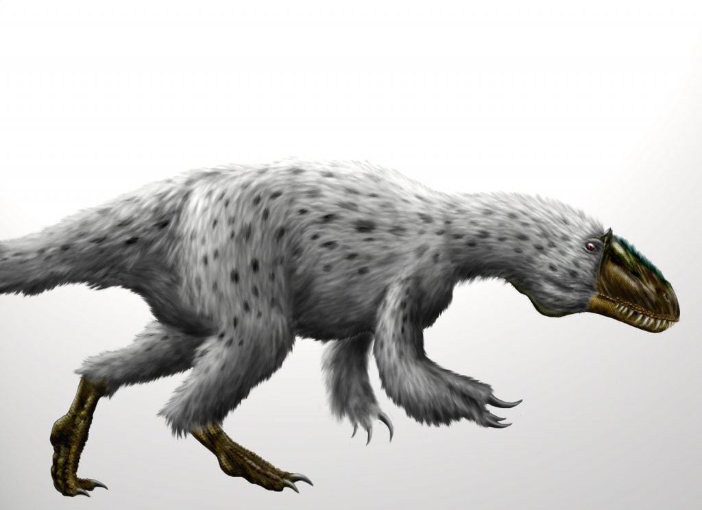 12 Obscure Dinosaurs You’ve Never Heard Of