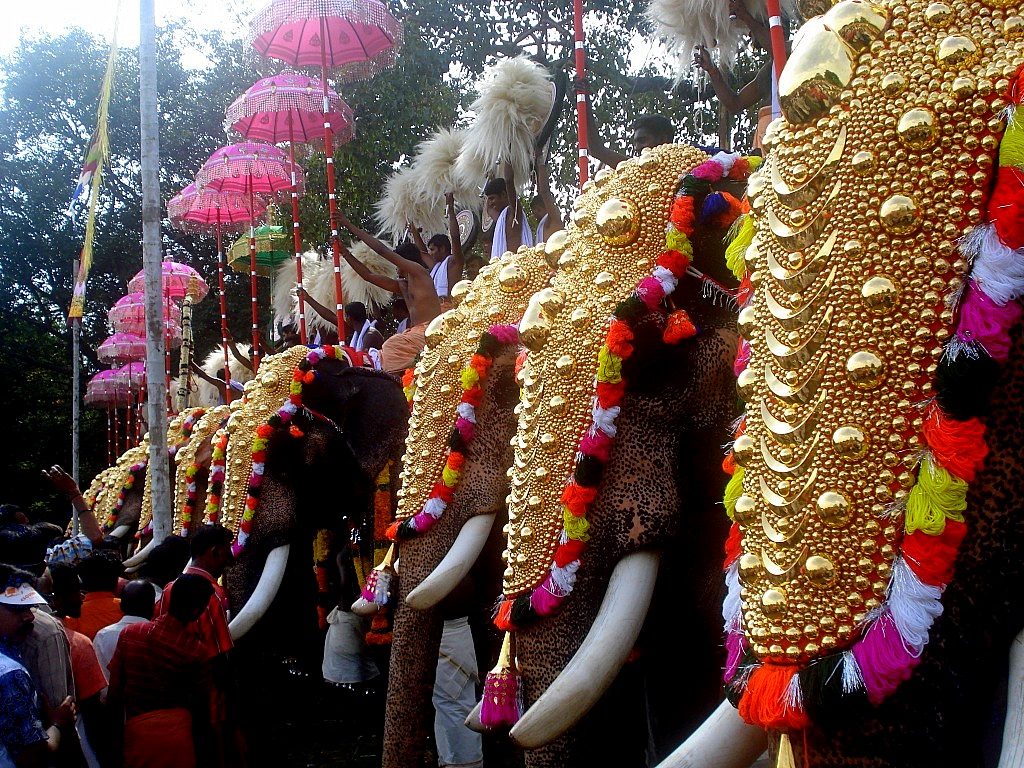 World’s Most Beautiful Festivals Dedicated To Animals