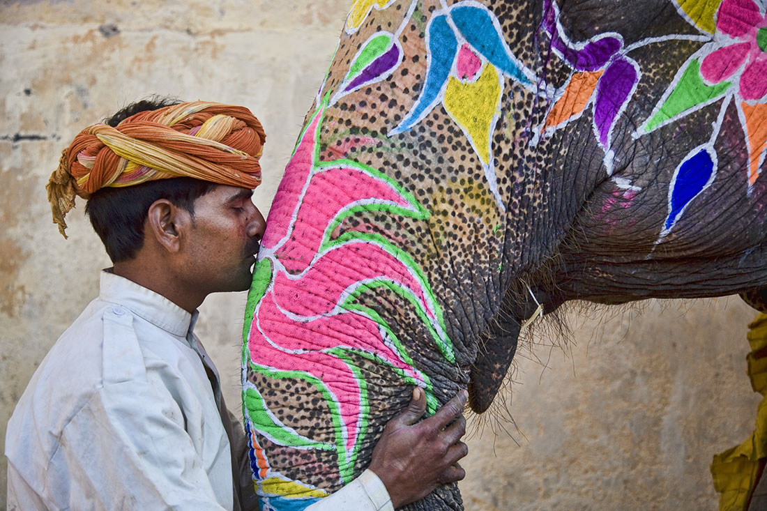 Elephant Festival In India 4