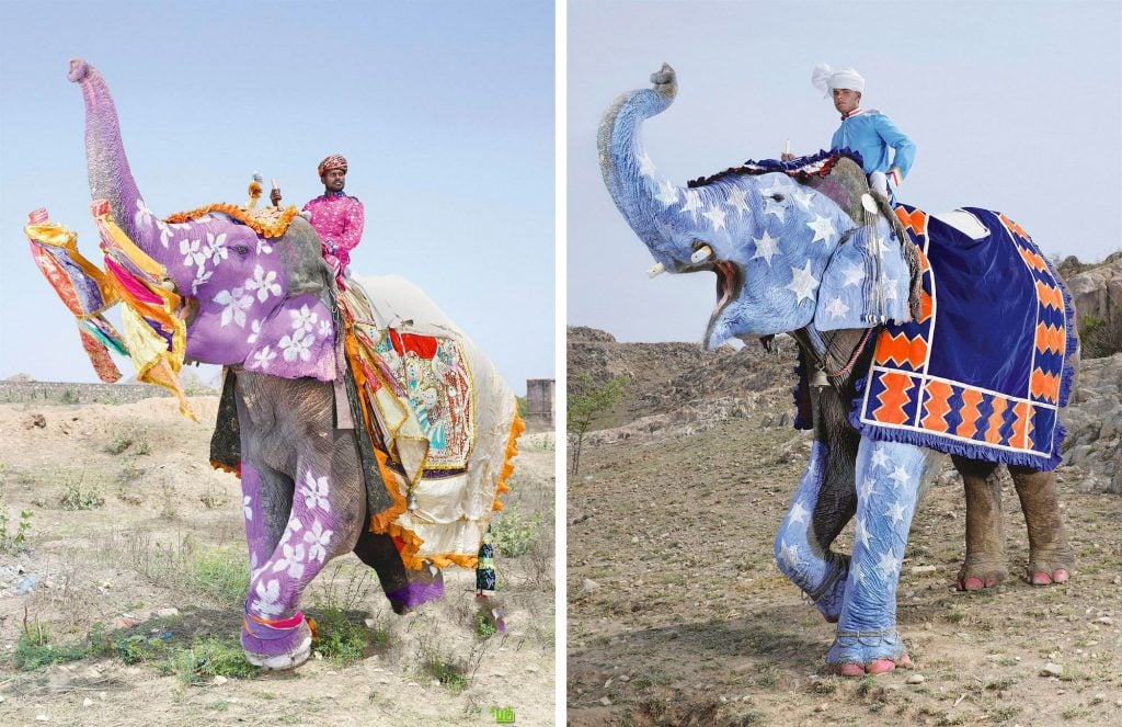 World’s Most Beautiful Festivals Dedicated To Animals