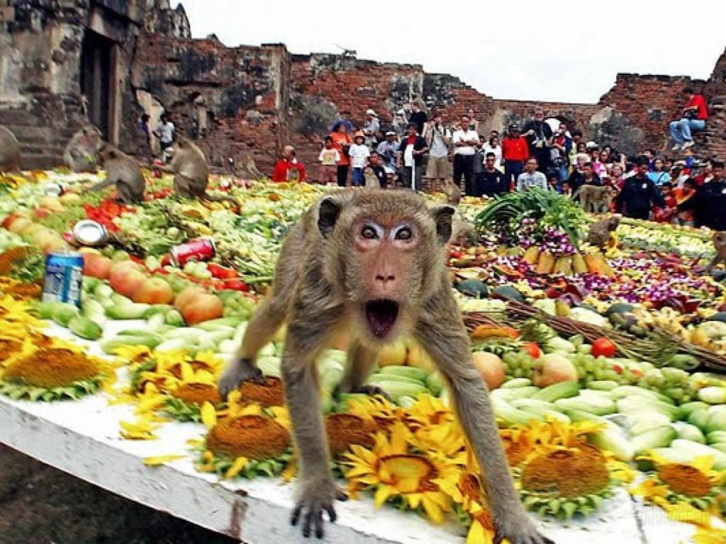 World’s Most Beautiful Festivals Dedicated To Animals