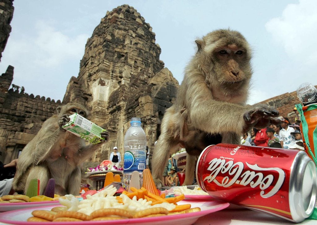 World’s Most Beautiful Festivals Dedicated To Animals