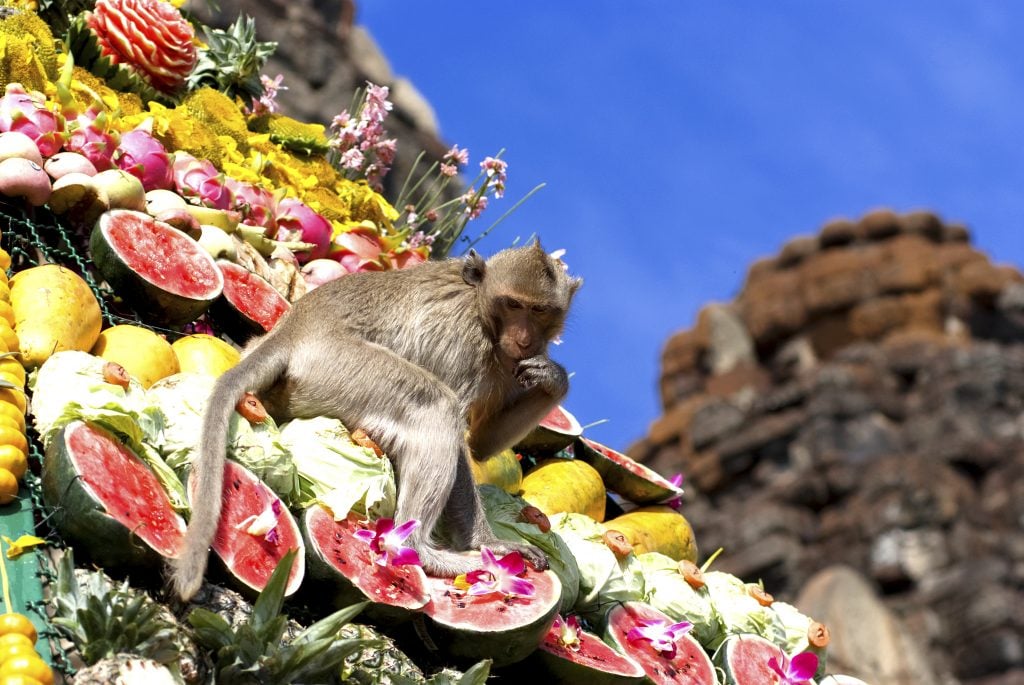 World’s Most Beautiful Festivals Dedicated To Animals