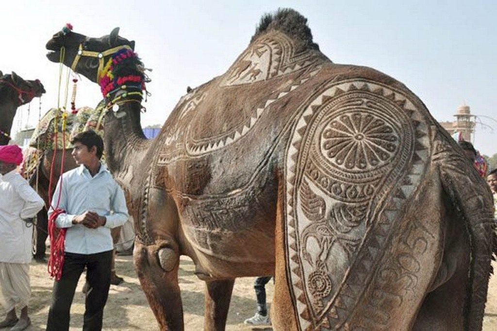 World’s Most Beautiful Festivals Dedicated To Animals