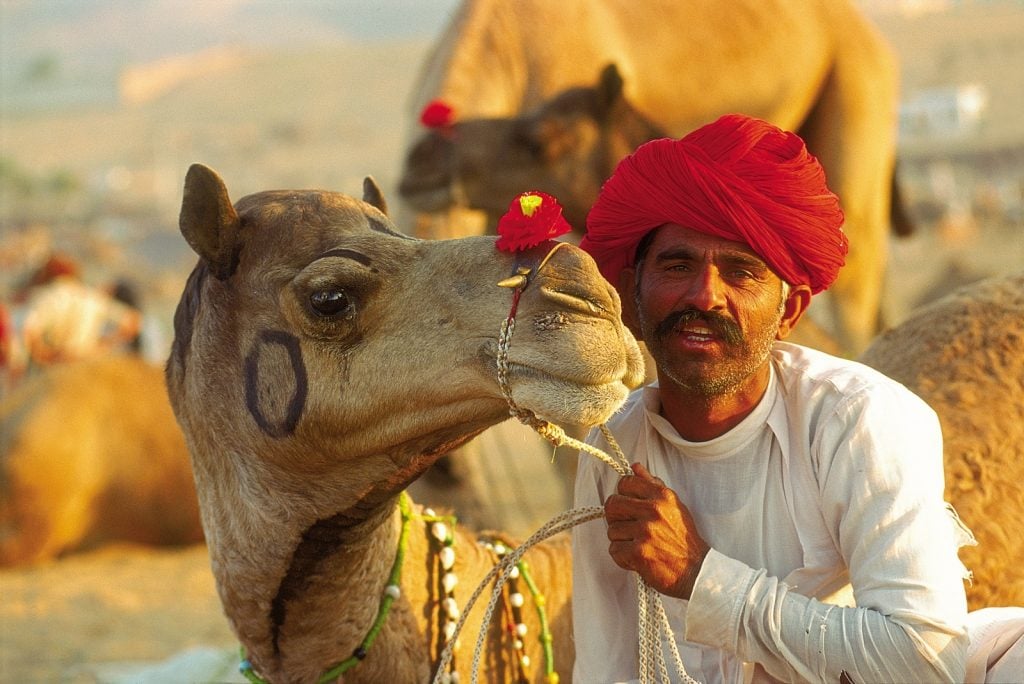World’s Most Beautiful Festivals Dedicated To Animals