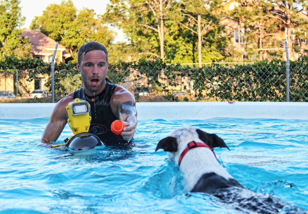 Underwater Dogs By Seth Casteel