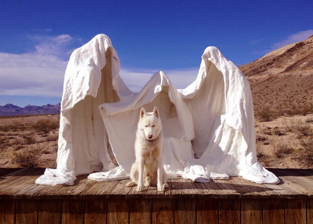 Alone With 53 Thousand Followers: Incredible Adventures Of John Stortz And His Dog