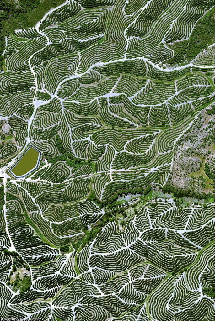 15 Fantastic Bird-Eye View Photos