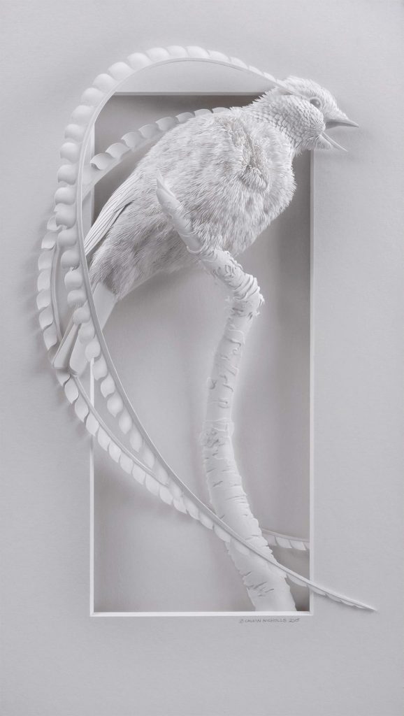 Super Realistic Paper Sculptures Of Animals By Calvin Nicholls