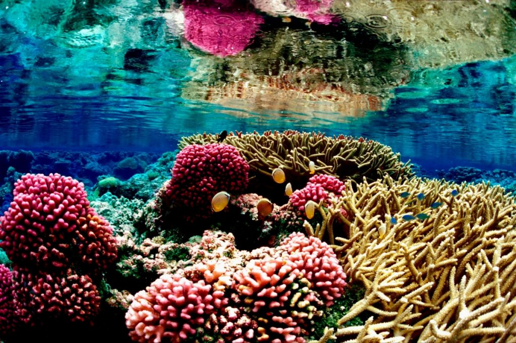 10 Awesome Live Streaming Webcams From Around The World!