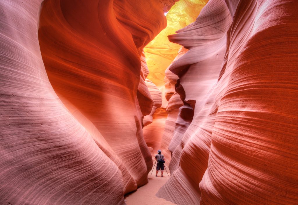 14 Mind-Blowing Examples of Alien & Beautiful Nature