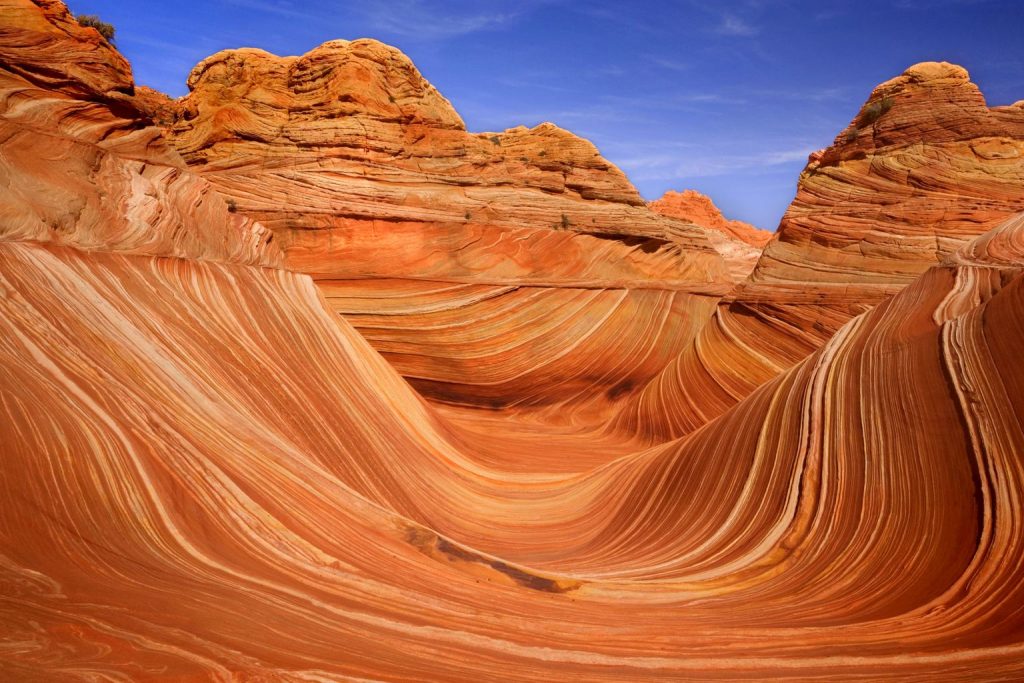 14 Mind-Blowing Examples of Alien & Beautiful Nature