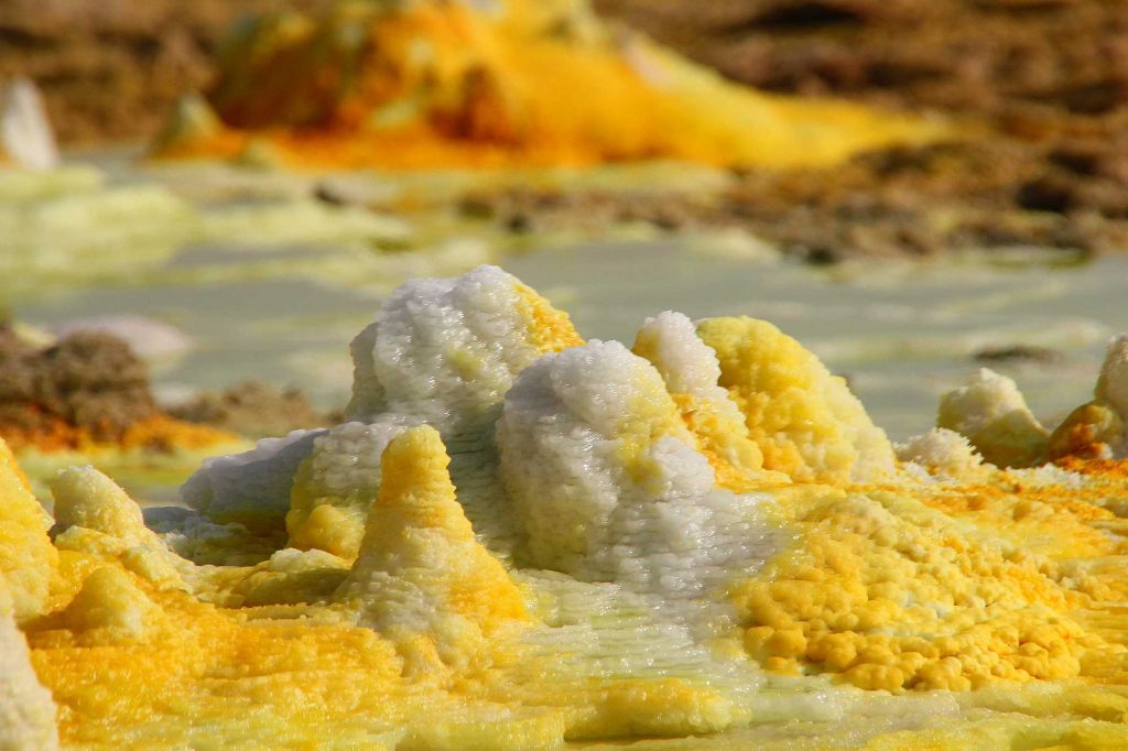 14 Mind-Blowing Examples of Alien & Beautiful Nature