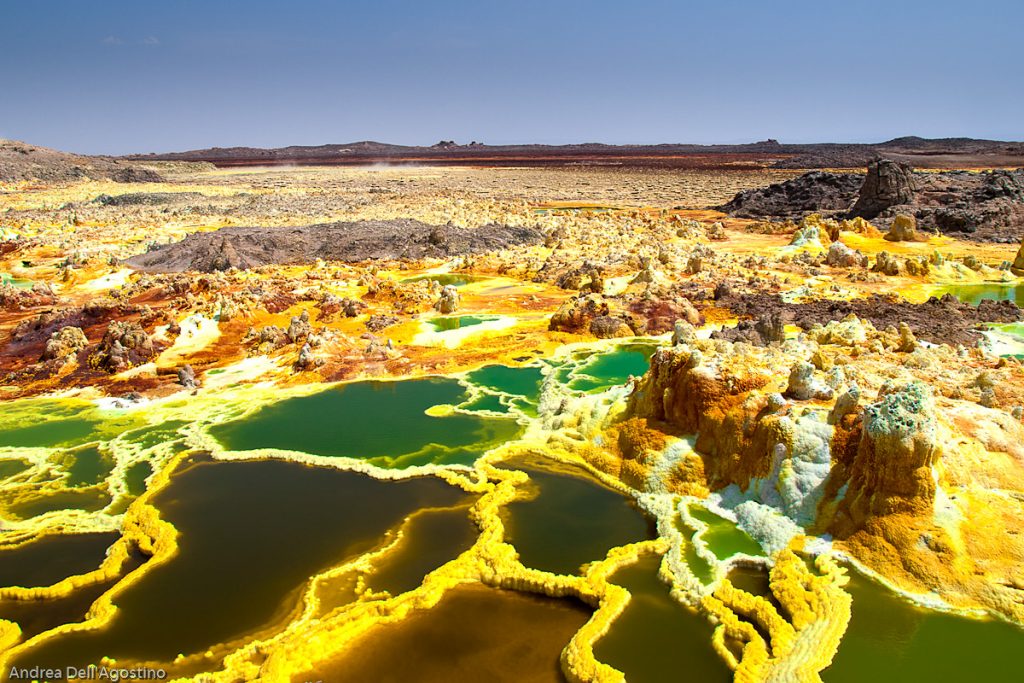 14 Mind-Blowing Examples of Alien & Beautiful Nature