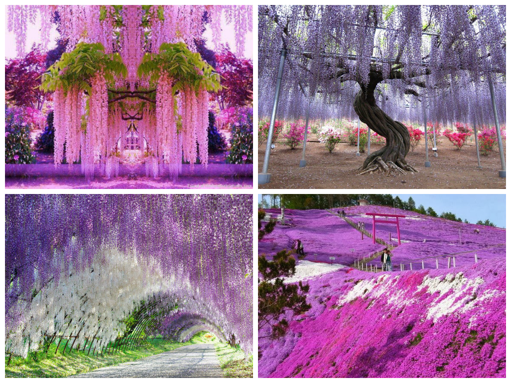 14 Mind-Blowing Examples of Alien & Beautiful Nature