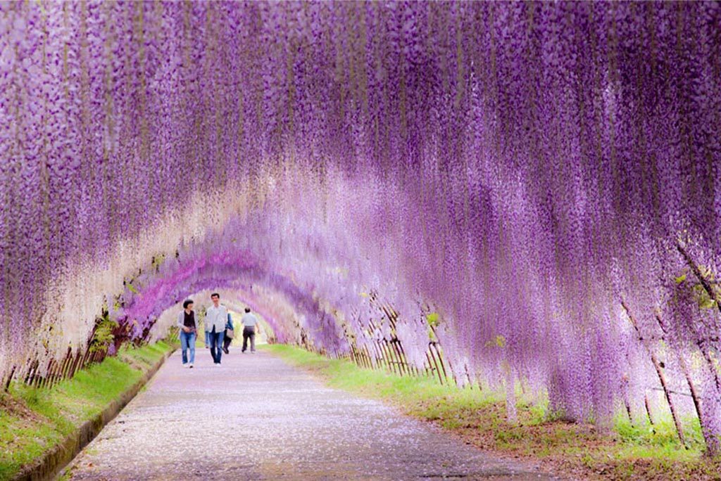 14 Mind-Blowing Examples of Alien & Beautiful Nature