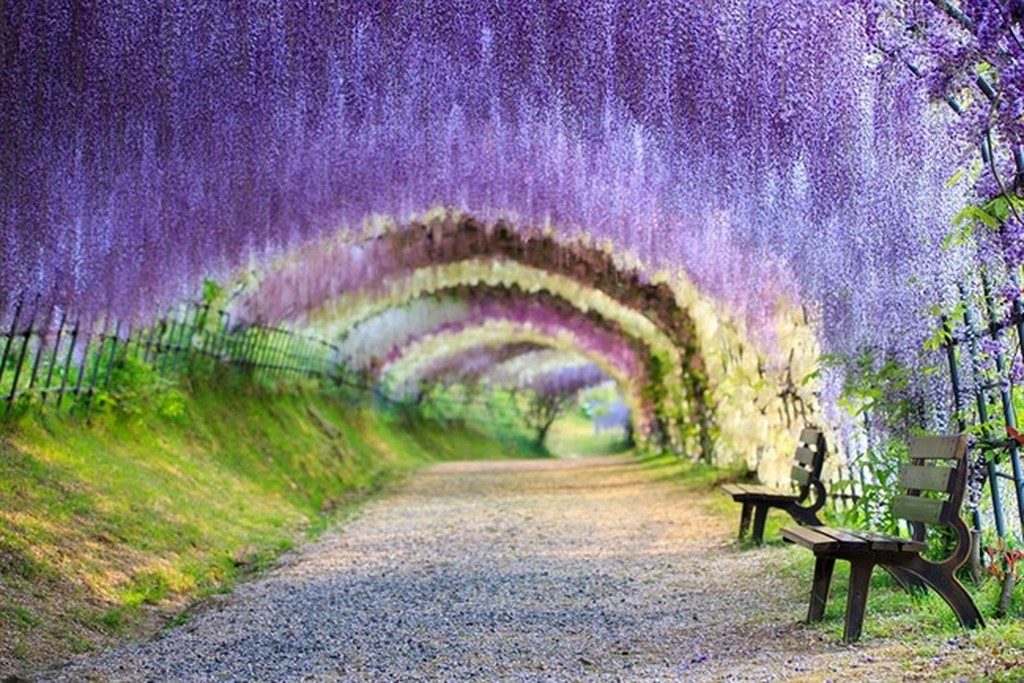 14 Mind-Blowing Examples of Alien & Beautiful Nature
