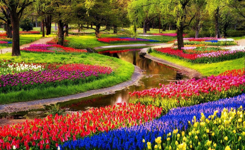 14 Mind-Blowing Examples of Alien & Beautiful Nature