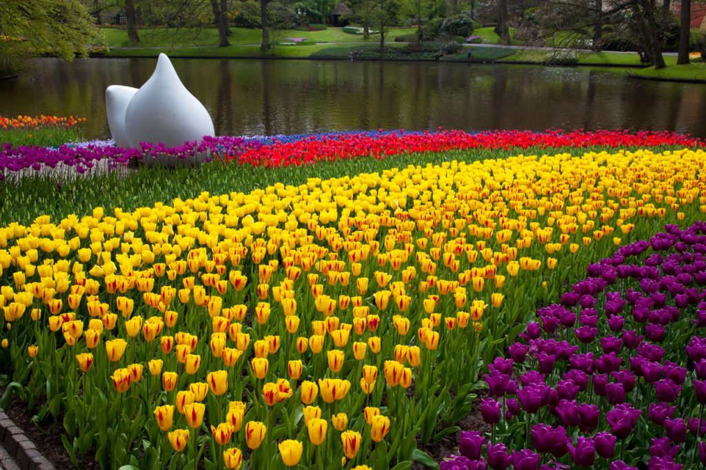 14 Mind-Blowing Examples of Alien & Beautiful Nature