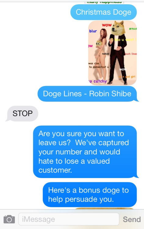 20 Best Responses To Wrong Number Texts 22