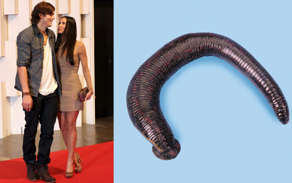12 Celebrities with Strange Habits