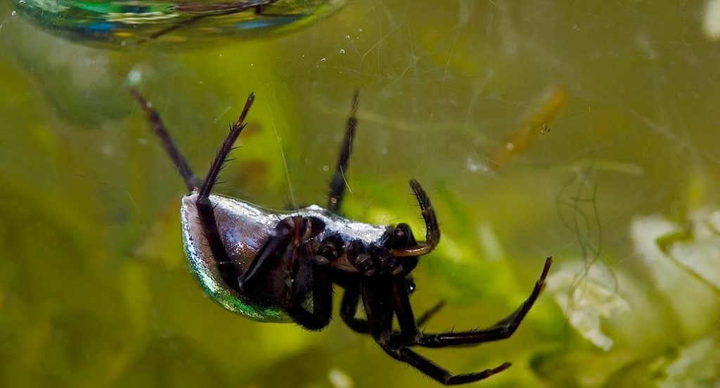 9 Bizarre Underwater Discoveries
