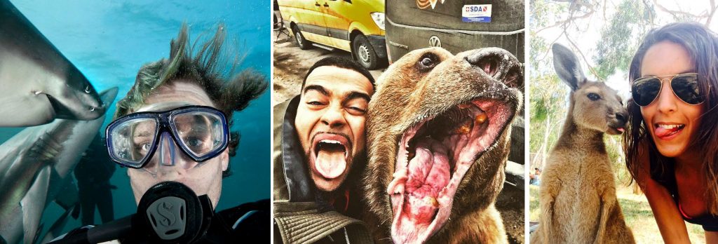 Snapping Selfies with Wild Animals Is a New Trend