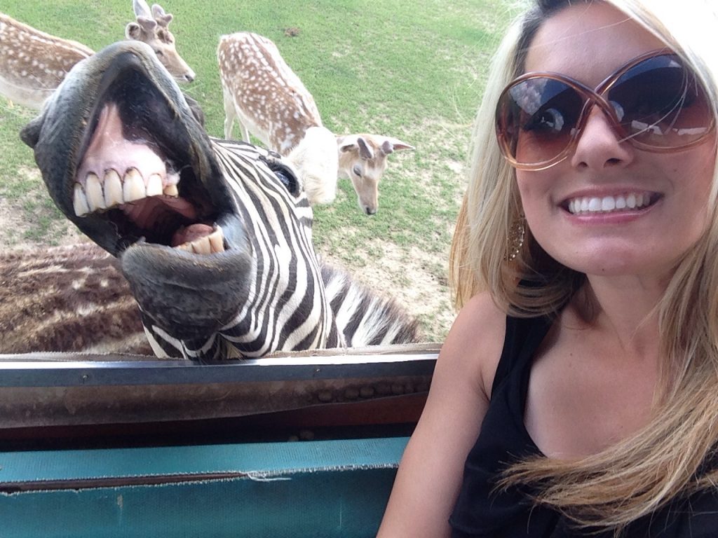Snapping Selfies with Wild Animals Is a New Trend